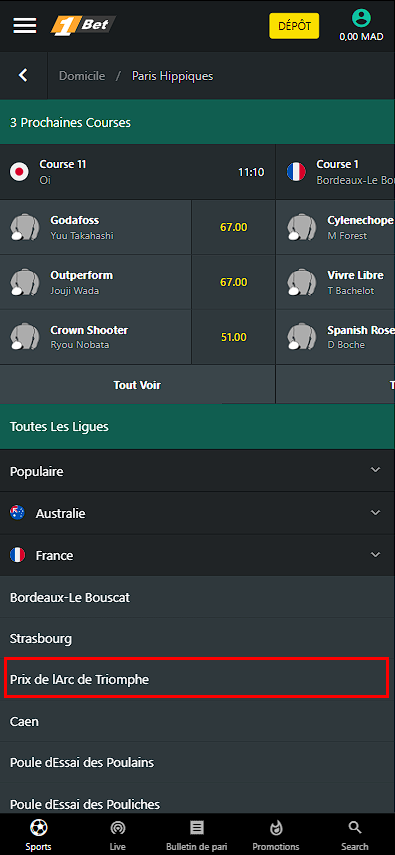 Comment placer des paris hippiques sur 1bet ?