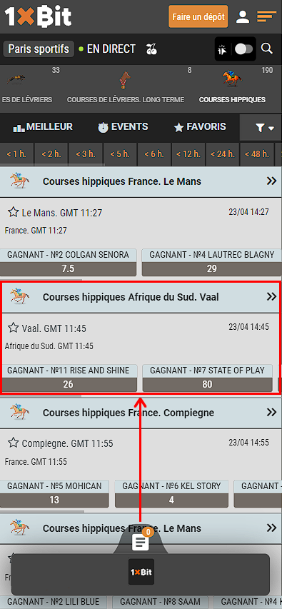 Comment parier sur les courses de chevaux sur 1xbit ?