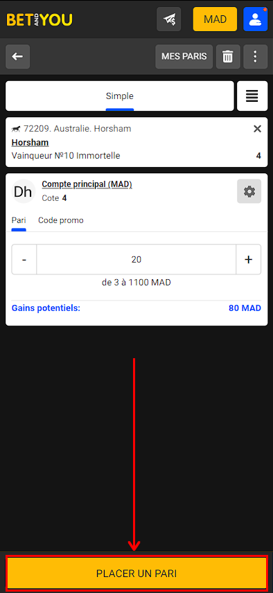Comment placer un pari hippique sur Betandyou ?