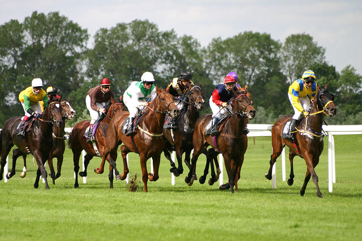 Comment choisir un cheval pour parier sur les courses hippiques ?