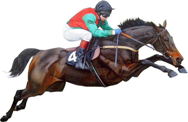 Betwinner : paris sur les courses de chevaux