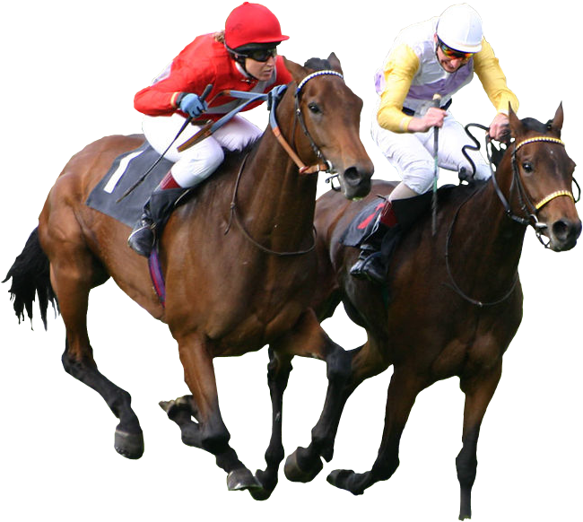 Courses de chevaux sur Mostbet