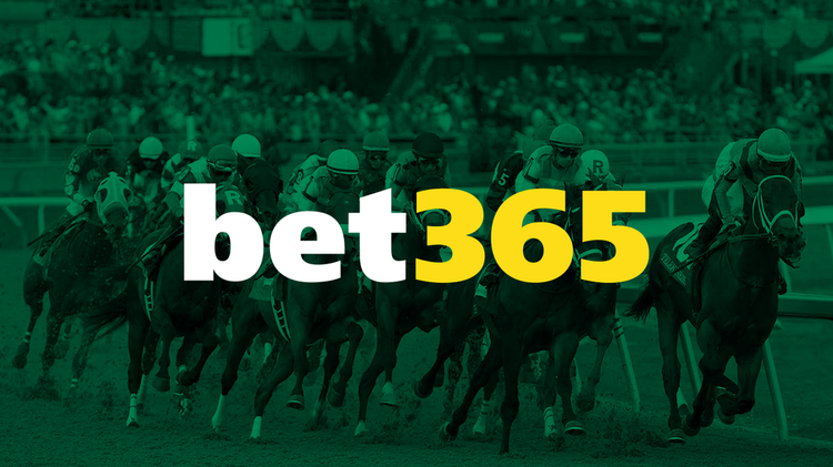 Bet365 courses de chevaux