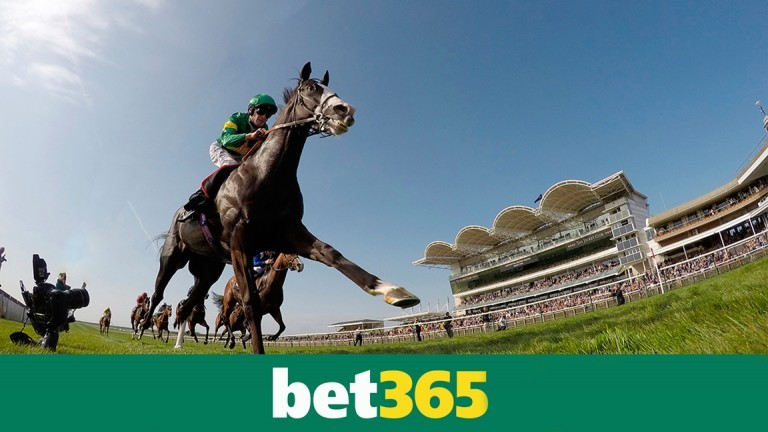 Fonctionnalité de streaming des courses hippiques de Bet365