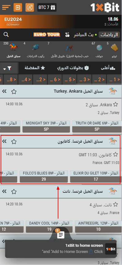 كيف تراهن على سباق الخيل في 1xbit؟